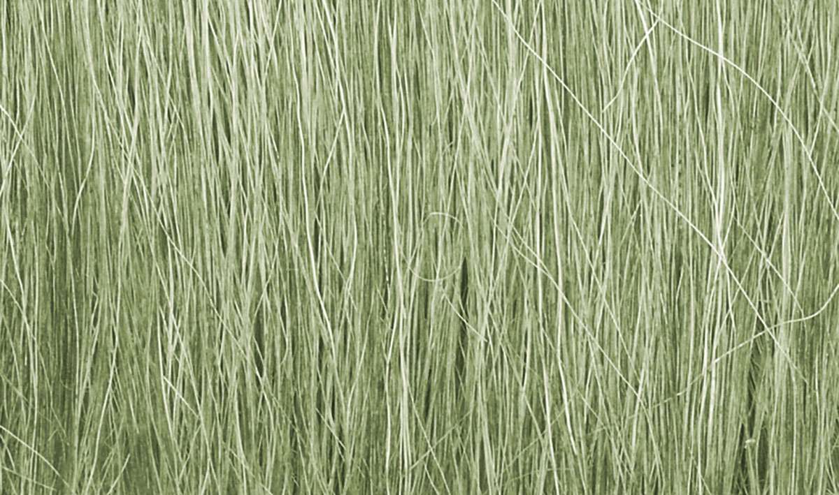 Woodland Scenics Field Grass Light Green 8g FG173