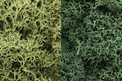 Woodland Scenics Lichen Light Green Mix #L167