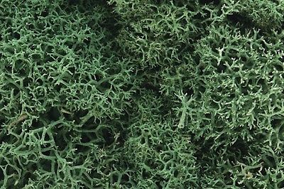 Woodland Scenics Lichen Light Green #L162