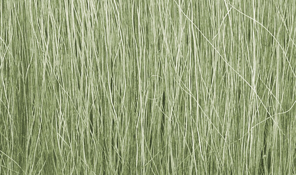 Woodland Scenics Field Grass Light Green 8g FG173