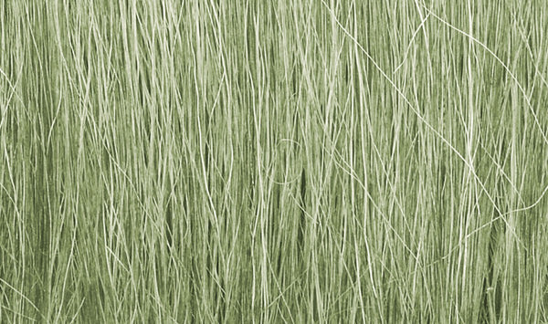 Woodland Scenics Field Grass Light Green 8g FG173