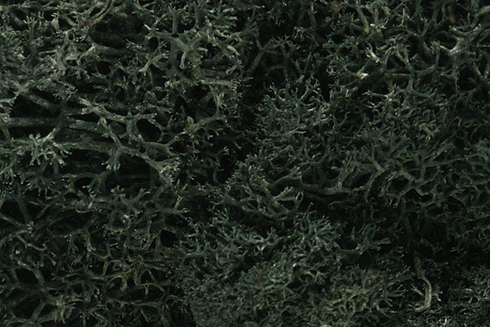 Woodland Scenics Lichen Dark Green Mix #L168 - 3 quart bag